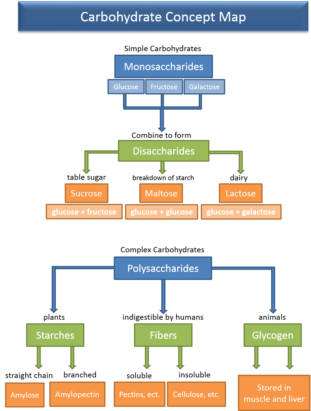 Carbohydrate Concept Map