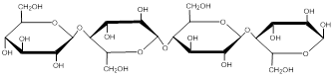 Bonding of Glucose Monomers