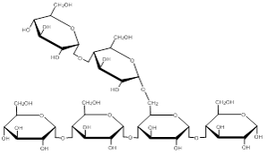 Polysachharide Molecule