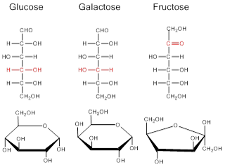 Difference between Glucose and Fructose: Comparison Table