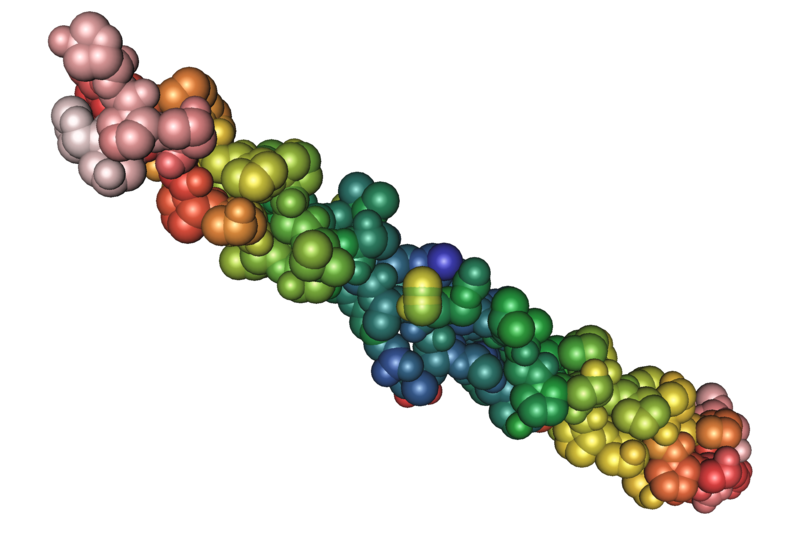 Molecular Image Representations of a Fibrous Protein
