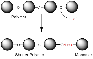 Hydrolysis Reaction