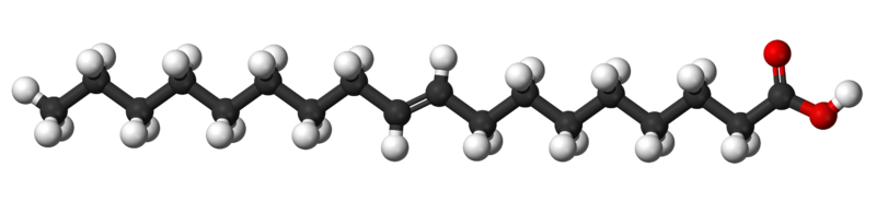 Trans Double Bond