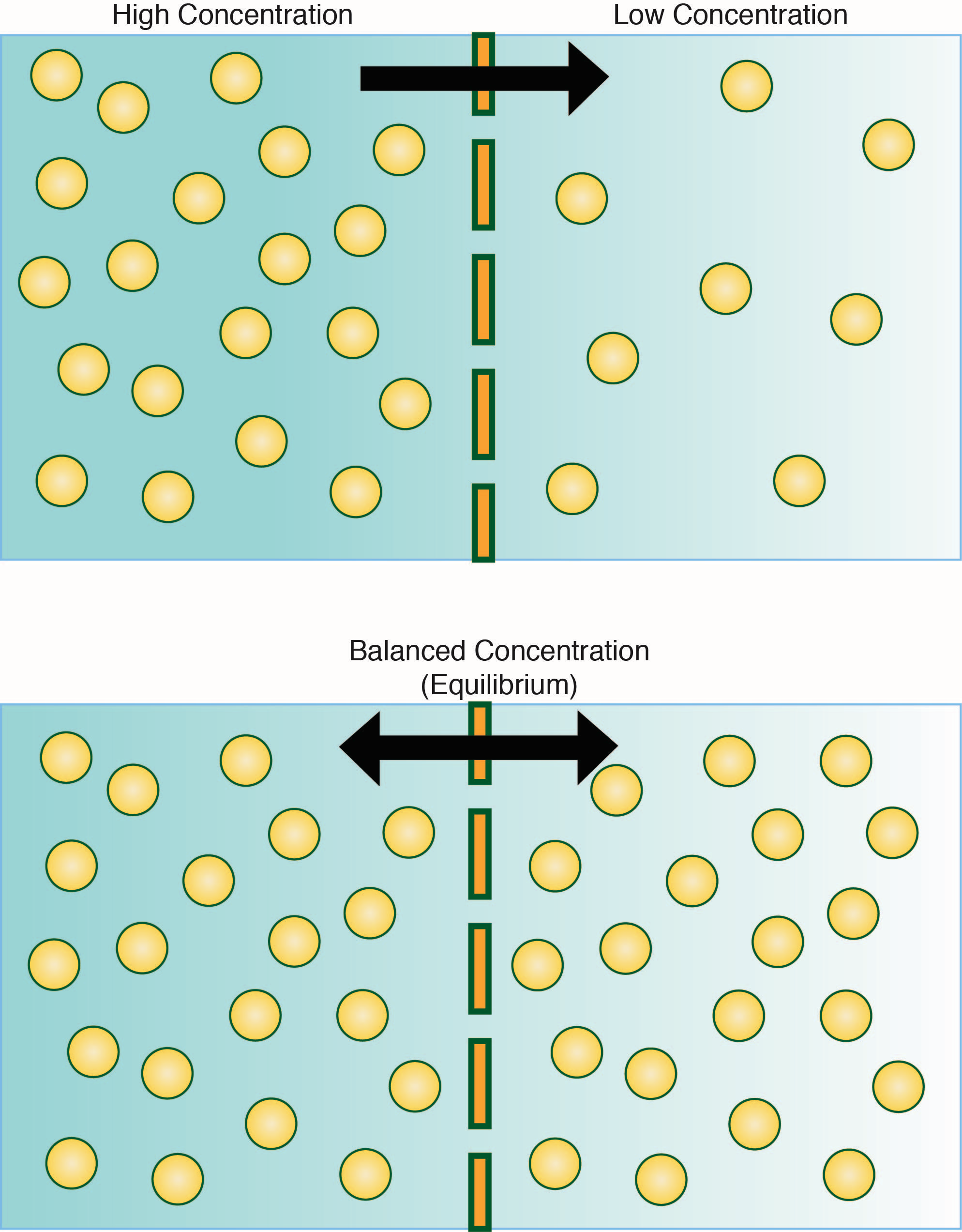 Phase Diagrams And Diffusion These Graphs Are Phase Diagrams