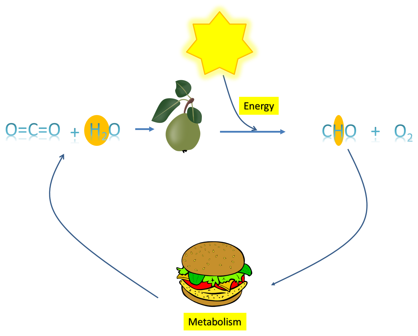graphical representation of the energy cycle
