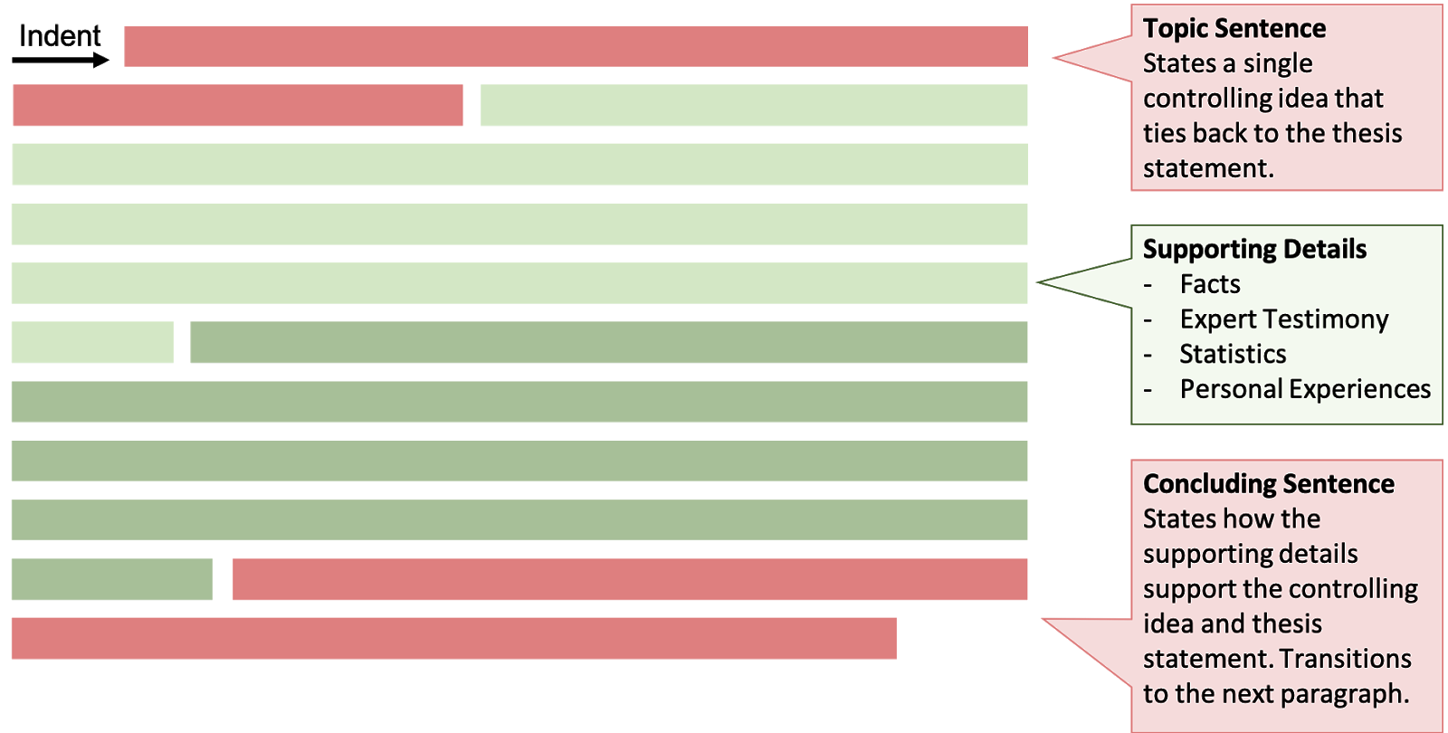 Topic Sentence: States a single controlling idea that ties back to the thesis statement. Supporting details: Facts, expert testimony, statistics, and personal experiences. Concluding sentence: States how the supporting details support the controlling idea and thesis statement. Transitions to the next paragraph.