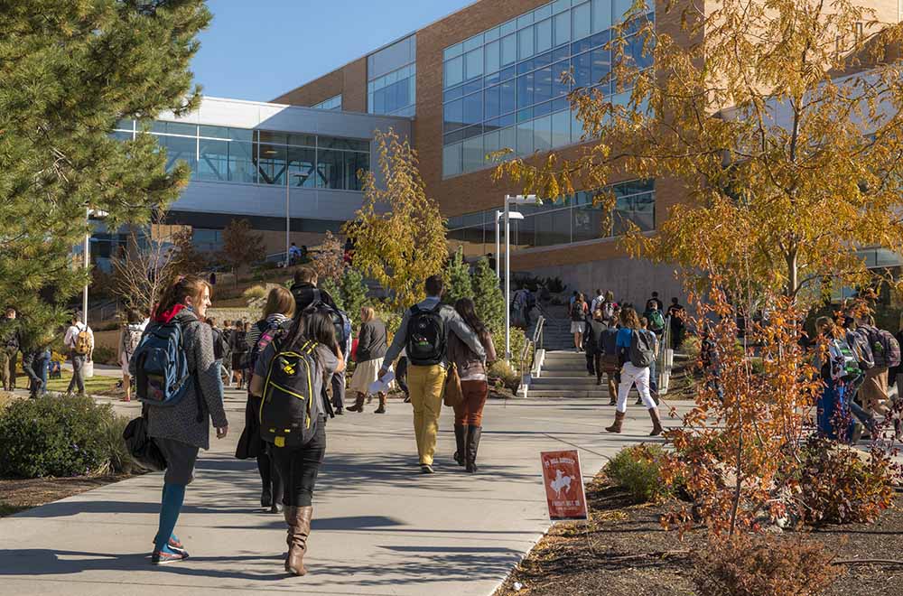 The MC during the fall