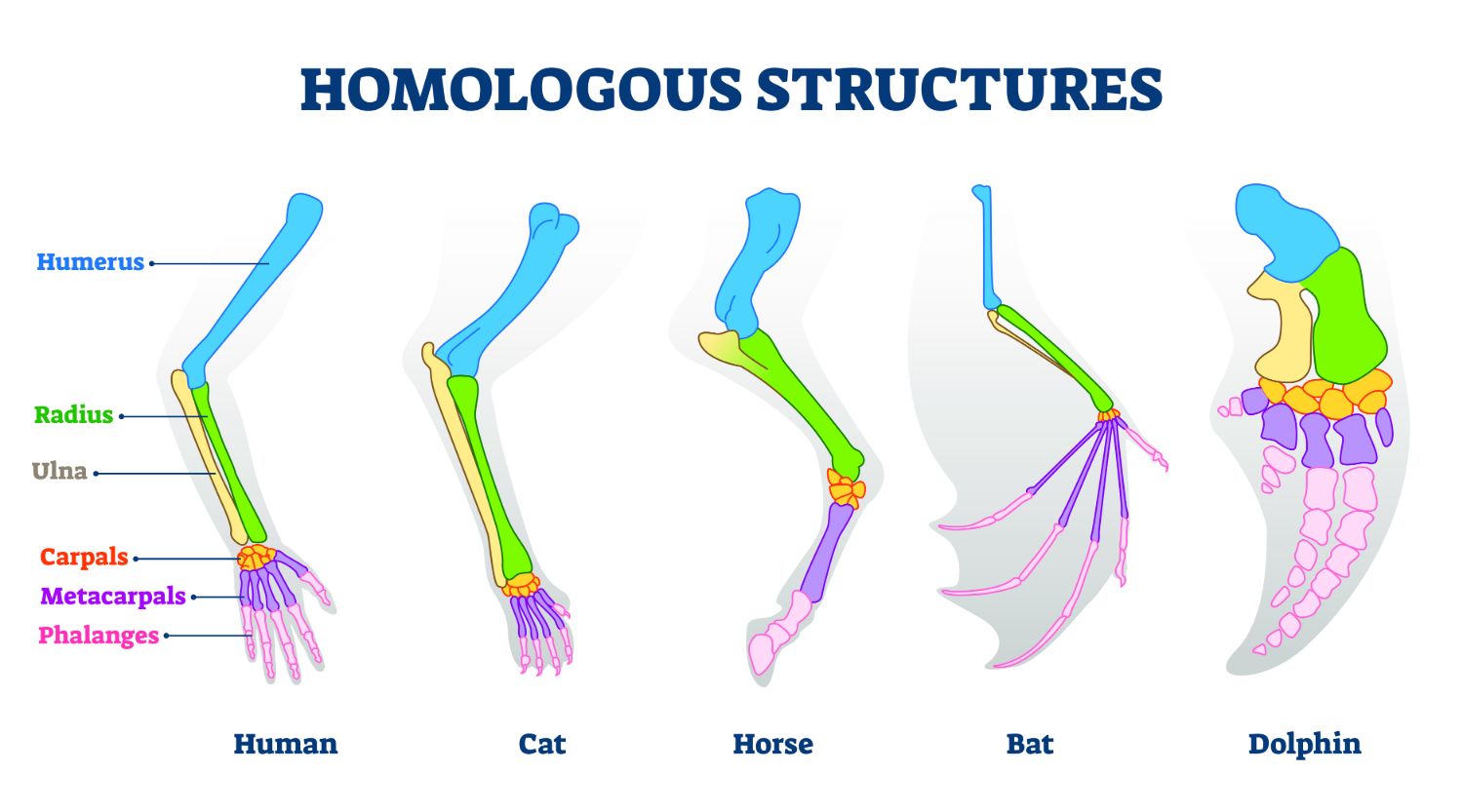 GESCI 101 Section 4.3
