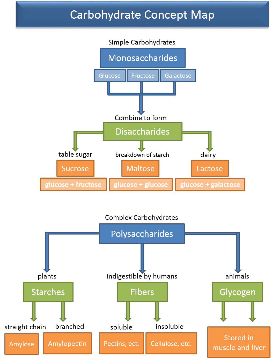 Carbohydrate Concept Map Carbohydrate Concept Map