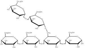 Polysachharide Molecule Polysachharide Molecule