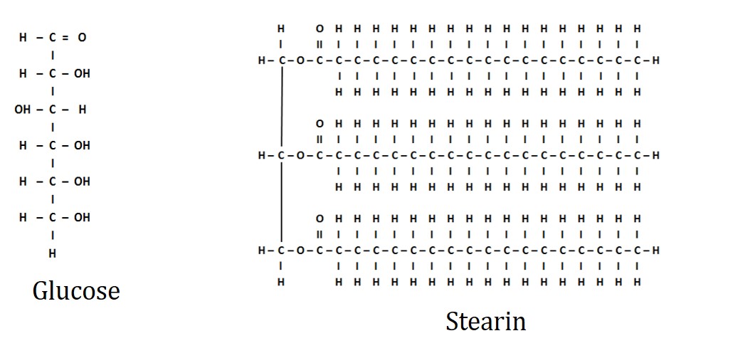 Glucose and Stearin Molecules Glucose and Stearin Molecules